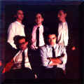 cu1981b.jpg (193468 byte)